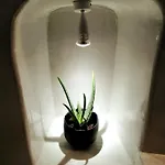 펜션 Santorinian Lava House